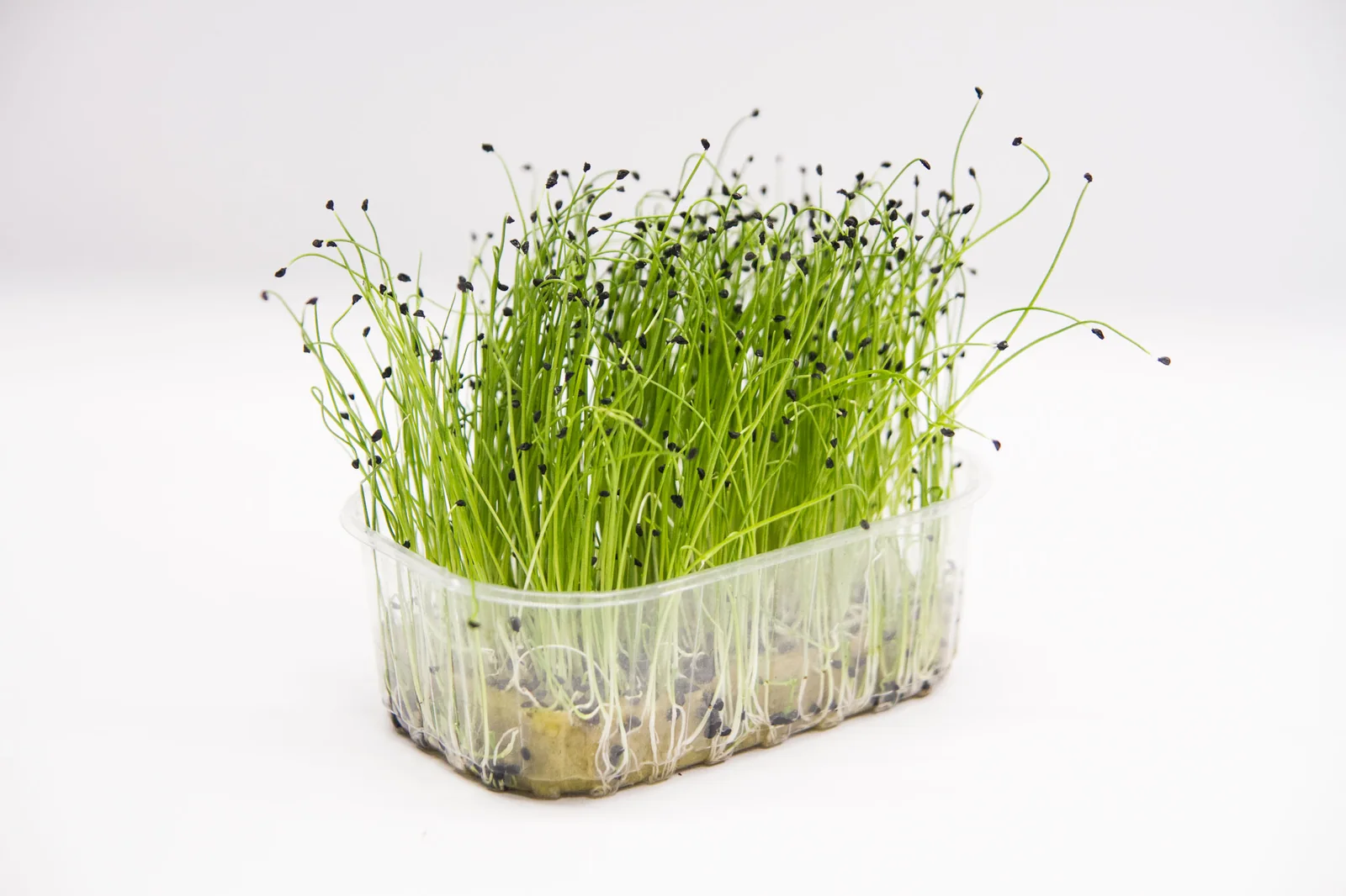 Cut Herbs Line